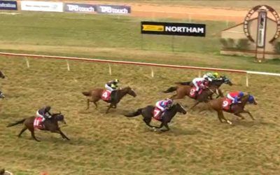 Superior to Smile again at Northam