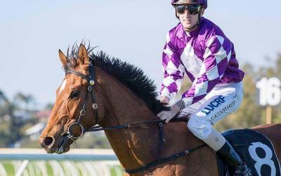 Father Knick faces toughest test in 3YO Classic