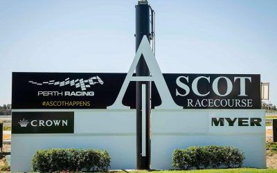 Pearce Ascot trio in with a chance