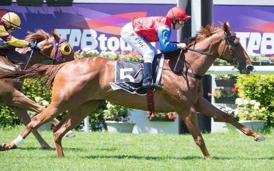 Pearces’ vying for fourth 3YO Magic Millions title