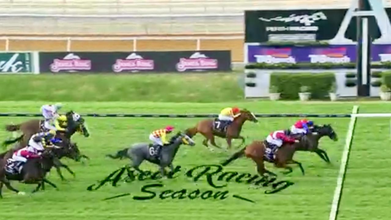 Money Maher lands Pearces' third stakes win in 15 days Pearce Racing