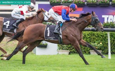 Money Maher aiming for third stakes win