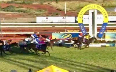 Pushin’ Shapes claims Coolgardie Cup