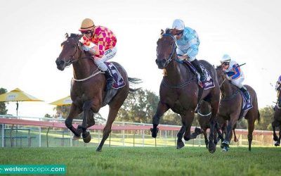 Friars Fantasia bounces back at Bunbury