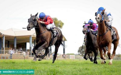 Black Comet wins at race return