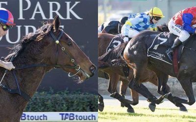 Belmont double for Pearce Racing