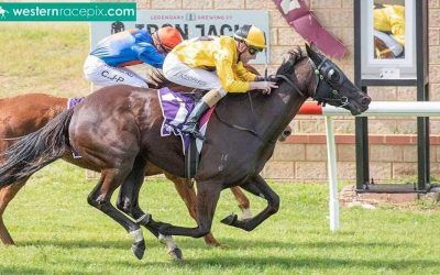 Black Wing breaks maiden status