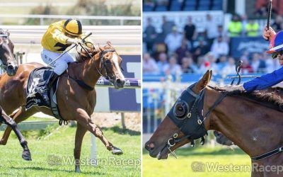 Pearce Racing double at Ascot