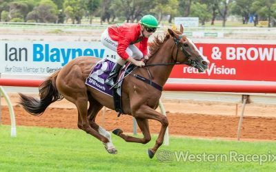 Casa Rosada bolts in at Geraldton