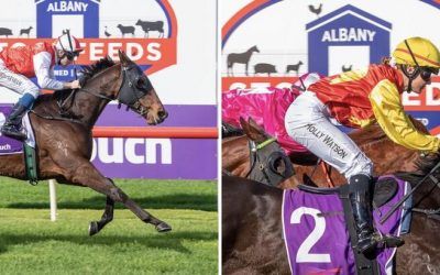 Pearce double at Albany