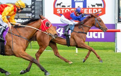 Worth A Risk too strong at Albany