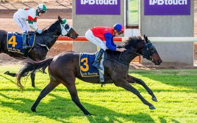 Let’s Galahvant lands second win