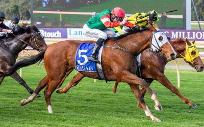 Starring Knight finishes powerfully at Pinjarra