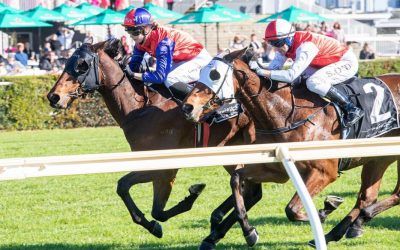 Pearce Racing quinella the Aquanita Stakes