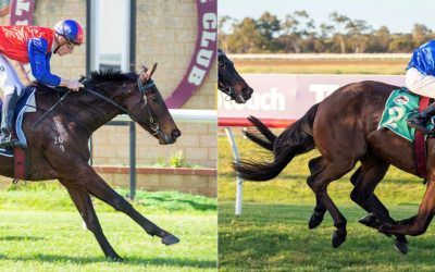 Northam double lands 50th win of the season