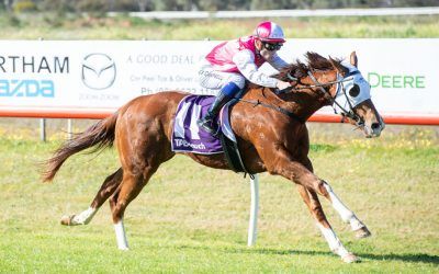 Treble brings up Pearce Racing’s 250th win