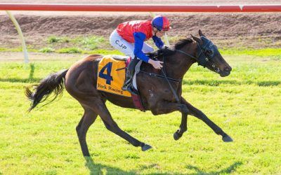 Bird’s The Word lands third win
