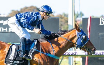 Belmont double for Team Pearce