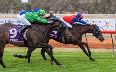 Durable Bird’s The Word wins again