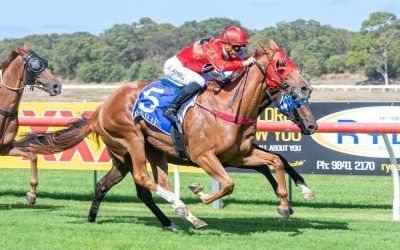 Grece Lightning breaks through at Albany