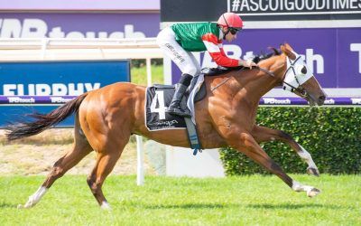 Starring Knight bolts in at Ascot