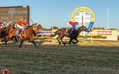 Bird’s The Word scores tough win at Kalgoorlie