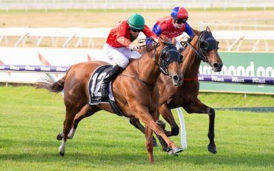 Another stakes quinella for Pearce pair