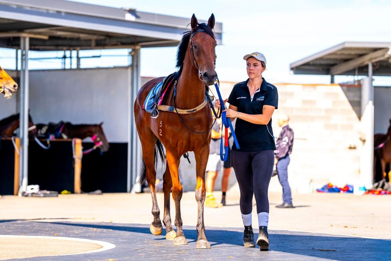 A Summer Fling - Pearce Racing