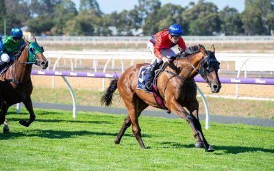 Two on the bounce for Super Romani