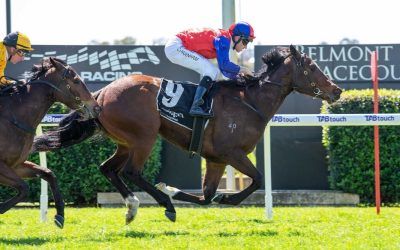 Perfect Belmont quinella for Pearces