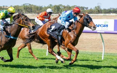 Southern Scandal makes winning return