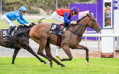 Two on the bounce for Scenic Boom