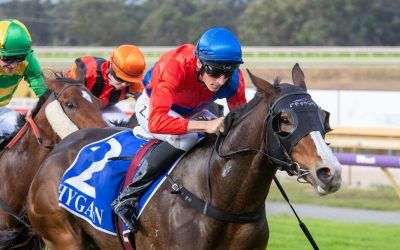 Hezangelic salutes first up