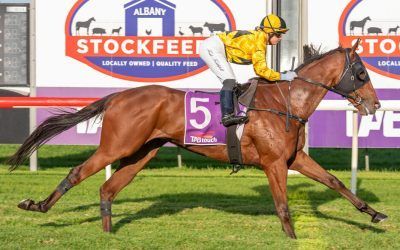 Albany double for Peace-Faithfull combination
