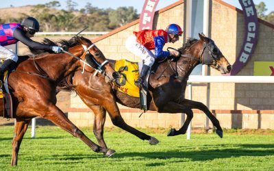 Manhattan Strip returns a winner