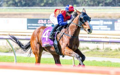 Pinjarra double for Team Pearce