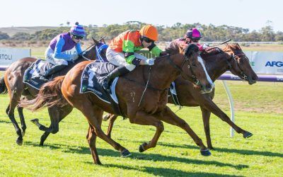 Tough return by Scenic George
