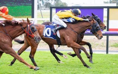 First Saturday win for Famous Dain