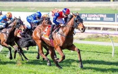 Noble Connection makes winning return
