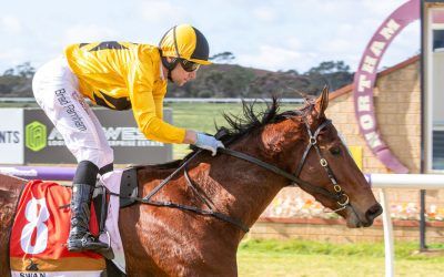 Sherpa Express impresses in first win