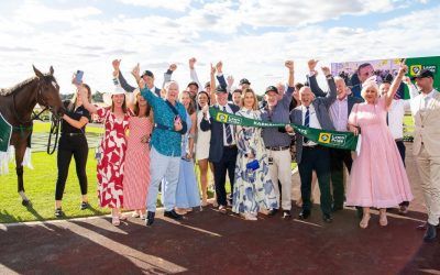 Season Wrap: 80 winners for Pearce Racing in 2024/25