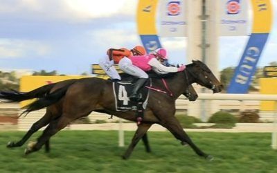 Influencing takes out Kambalda Cup