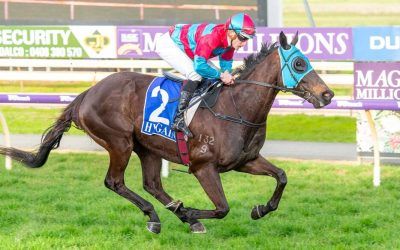 10 race wins for Galaxy Affair