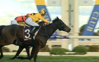 Decoration takes out Tattersalls Cup
