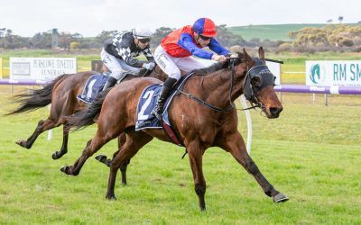 500 wins for Pearce Racing