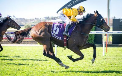 Toronado Rockets breaks maiden in style