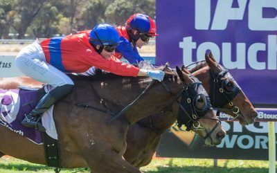 Pearce quinella at opening Geraldton meeting