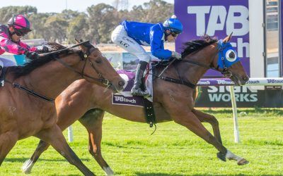 Back-to-back wins for Zing To Win