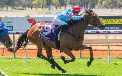 Kidding Me breaks through