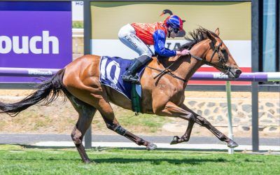Alebrije causes upset at Bunbury